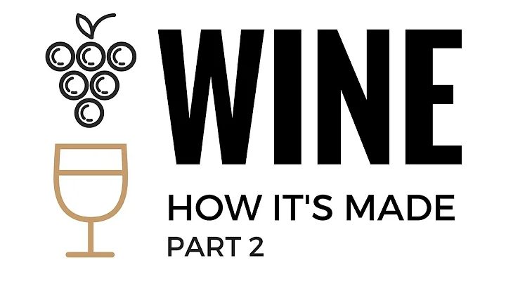 White Wine: How It's Made - DayDayNews