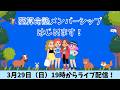 葵算命塾メンバーシップ始めます!ライブ配信