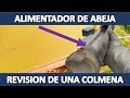 👉🏼 Como revisar una colmena de Abejas🐝, Introducir Cera y Alimentadores - Apicultura 2019