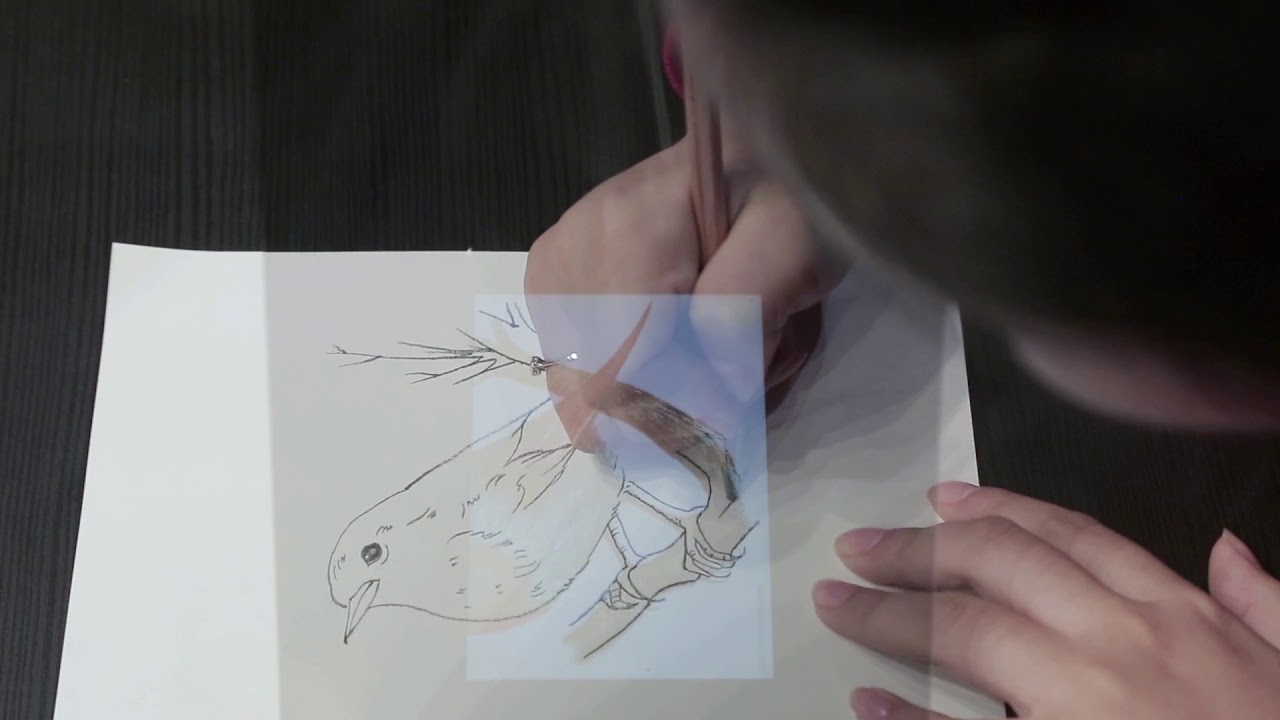 Indraw Holo-Sketch Kit