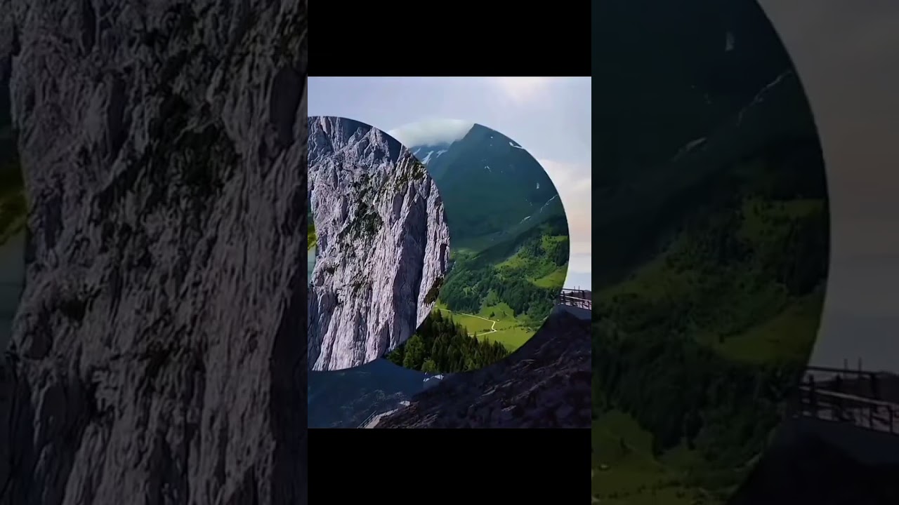 A World without human 😮🌍