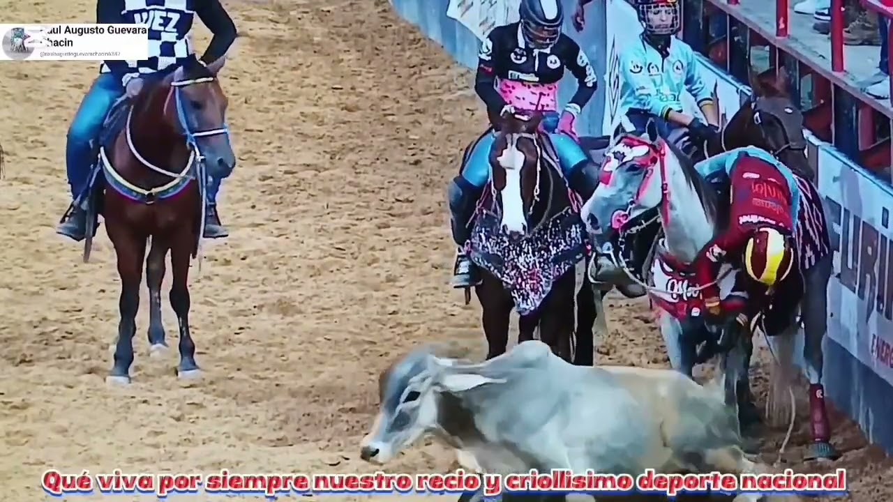 La campeona I femenino y sus turnos del 1er. día 