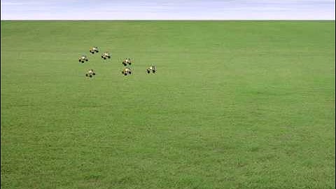 Vision-based formation control