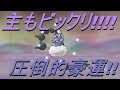 【神回】色違いボルトロスを1回のLiveで複数回降臨させた男【ポケットモンスター】【アルファサファイア】