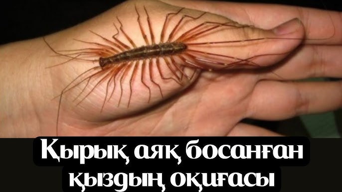 Эротикалық массаж орыс жасырын камерасы