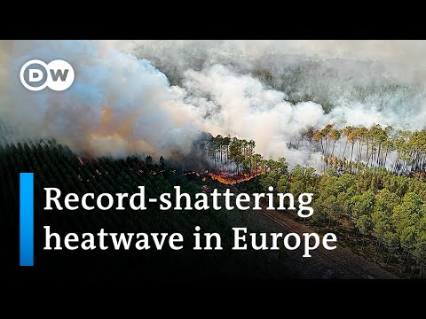 Deaths, drought and wildfires: Europe struggles to cope with its severe heatwave | DW News
