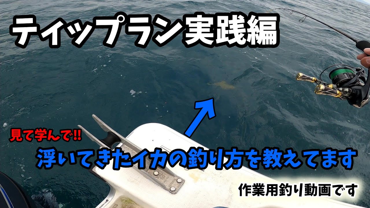 ティップラン実践！浮いてきたイカ(見えイカ)を釣る方法を教えています 作業用