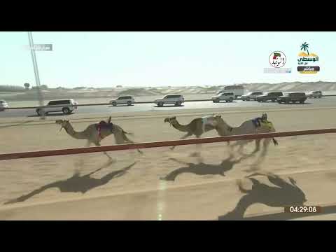الشوط 16 نجد ل سيف مصبح بن كاسب المسافري 7 53 16 مهرجان الذيد 2022 10 30 ايذاع