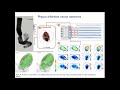 Understanding and Mitigating Gradient Flow Pathologies in PINN by Paris Perdikaris