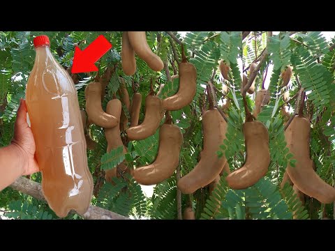 1 FOLHA VAI LIMPAR TUDO!!!