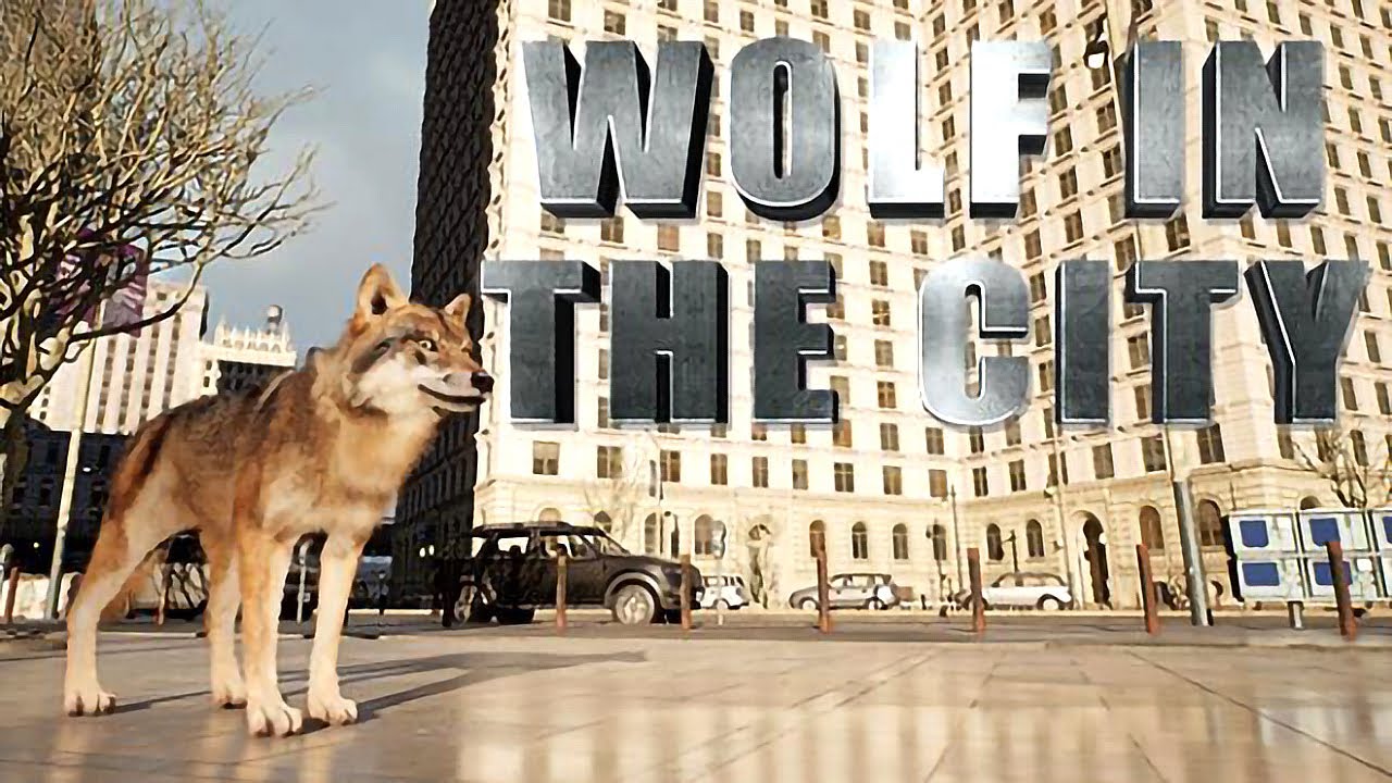 WOLF IN THE CITY Gameplay