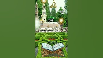 القران الكريم٠### المصحف## تلاوة- خاشعة- تلاوة- هادئة.....