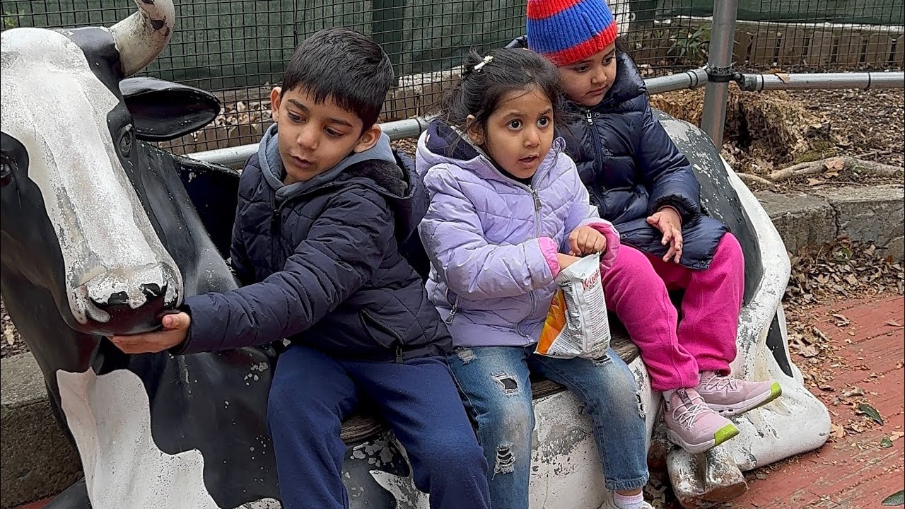 Made banana muffin and went to Staten Island Zoo