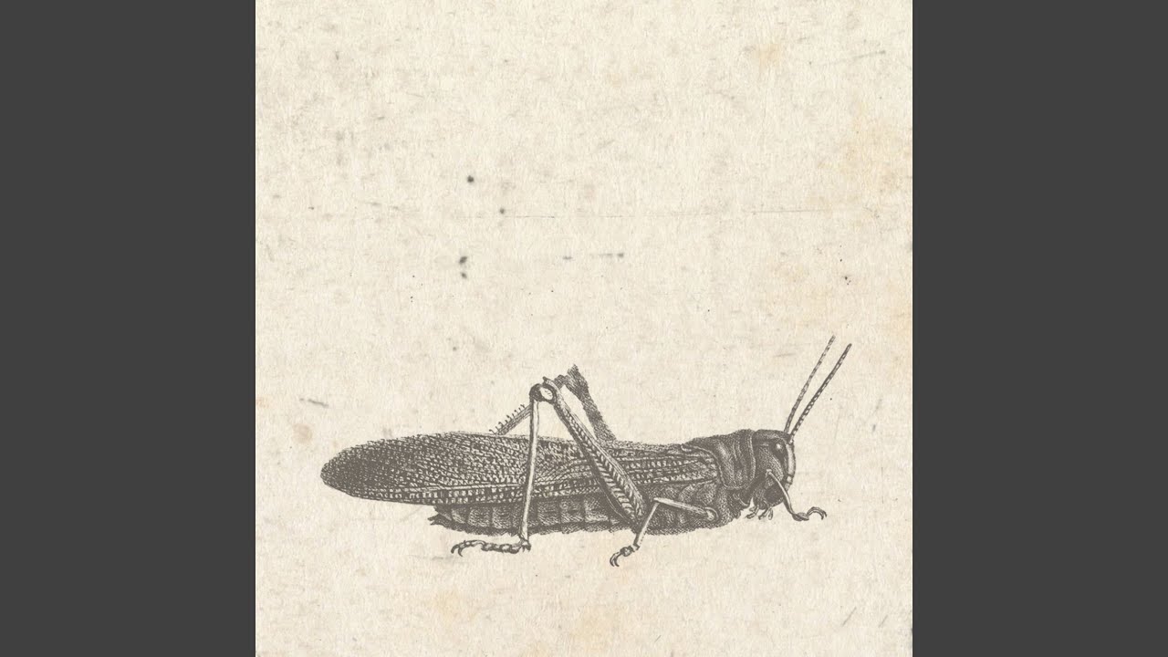 Trademark IV (Digital only)