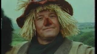 Forget Me Not Farm  Doctors And Vets