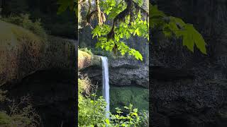#waterfall #silverfalls #forest #nature #calm #naturesounds #natureheals #naturelovers #calming