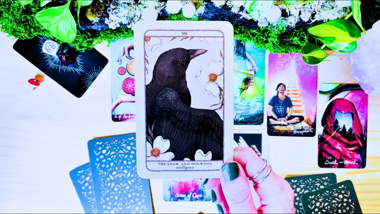 Ты был РОЖДЕН ДЛЯ ЭТОГО 👑