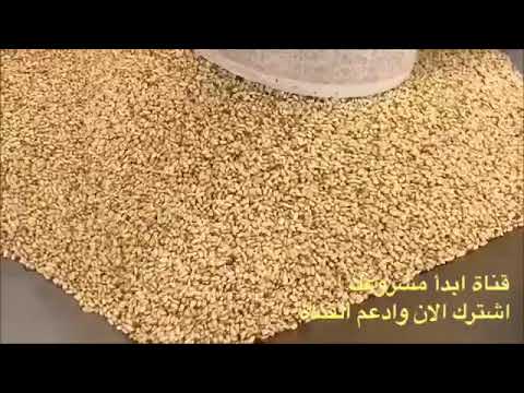 مصنع تحميص المكسرات بأنواعها فكرة مشروع رقم 100