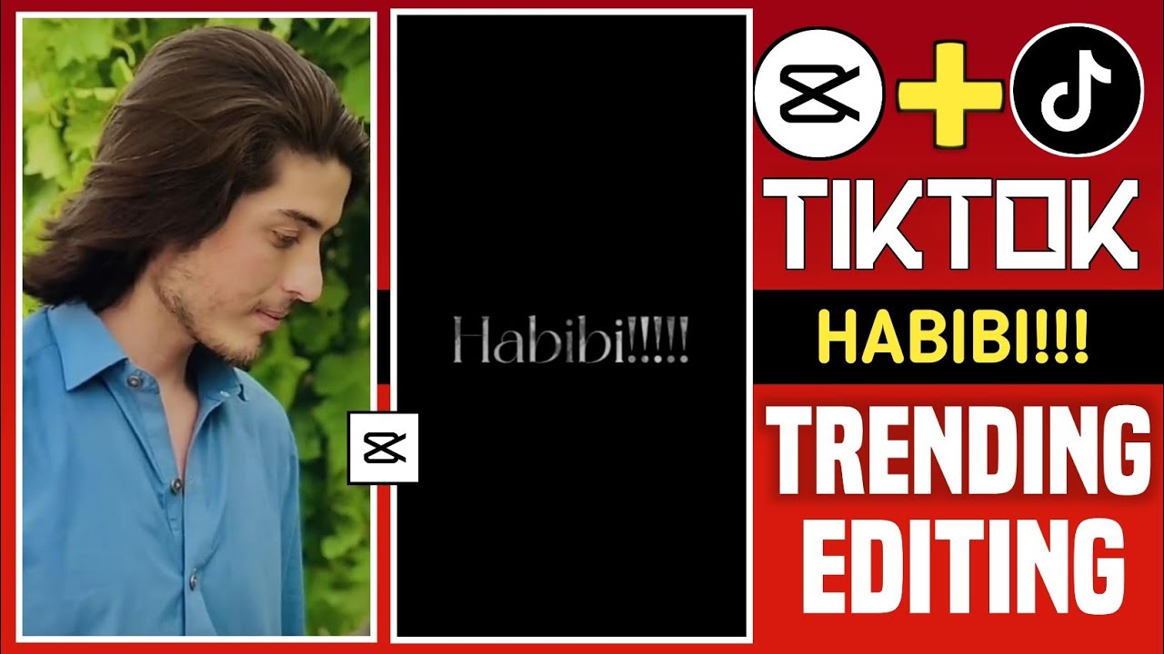 Habibi TikTok New Trending Editing || TikTok New Trend Habibi || Muzzmmail Edits