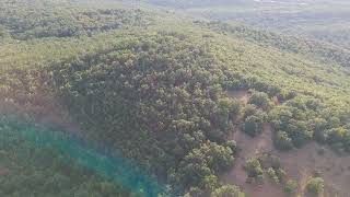 Песента на резачката