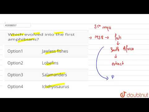 Videó: Az alábbiak közül melyik fejlődött ki az első kétéltűekké?