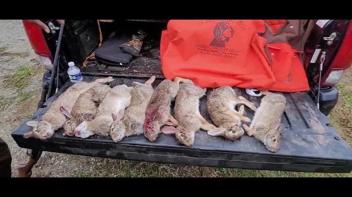 Homeboyz Hunting Club with DHMCDANIEL Rabbit Track...