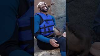 These Otters are chaotic and scary