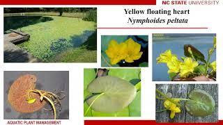 Biology and Management of Invasive Aquatic Plants in the NR Basin: Rob Richardson Nov 2022