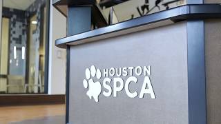 Houston SPCA FARISH Appreciation Video