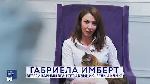 В каком возрасте кастрировать кота/стерилизовать кошку?