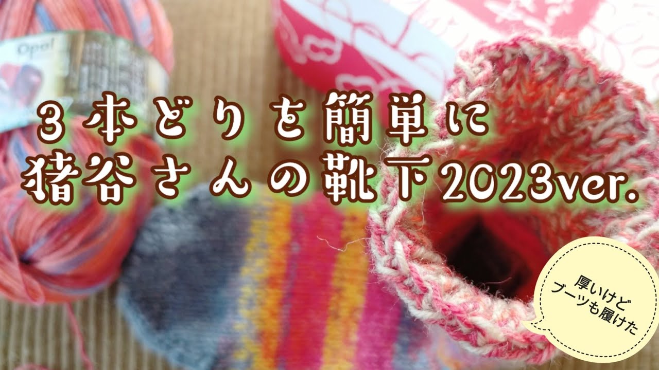 猪谷さんの靴下🧦】4,5mm8号針でより柔らかく、3本どりも簡単に🎶23
