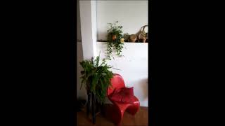 Lola s 150 USD Apartment in Bogota Colombia