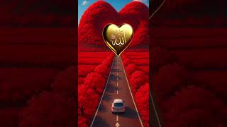 #lailha#alljapanaikido 