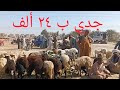 اسعار الاغنام والماعز بسوق السبت اليوم ٣١/ ١/ ٢٠٢٦م