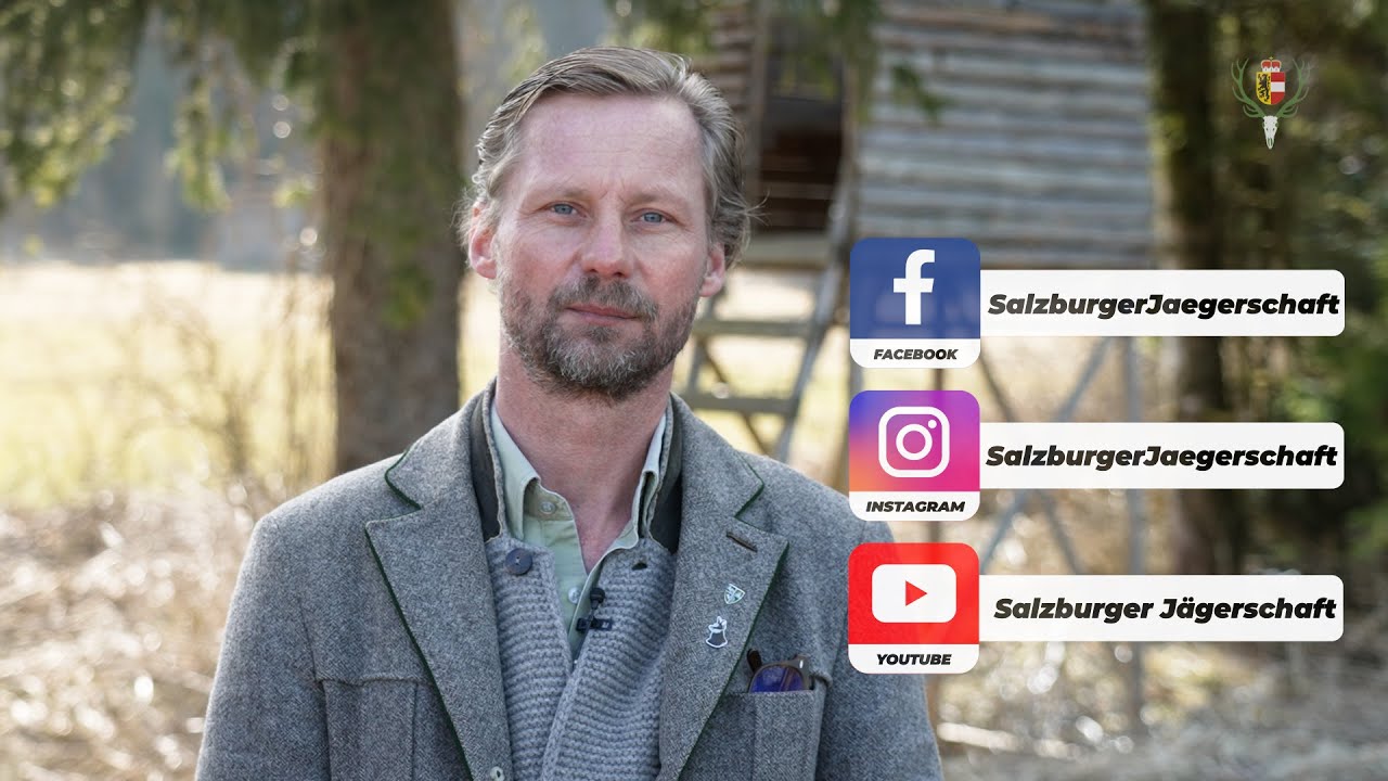 1, 2, 3 ... wir nutzen ab sofort YouTube!