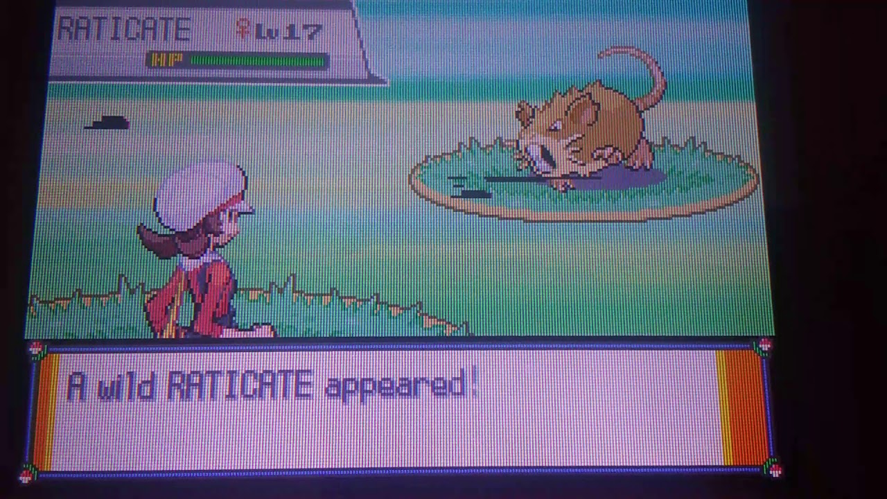 Pokémon Disobedience YouTube