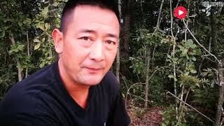 野生蘭花也有遮蔭網，還會根據季節自動撤與架，不服都不行啊