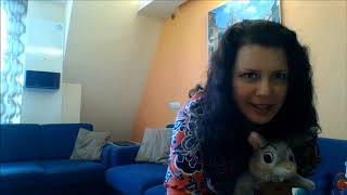 Kidsville Easter and Spring songs