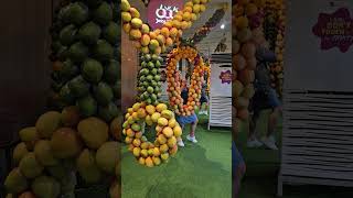 Download Lagu Daghan kaayo fruits MP3