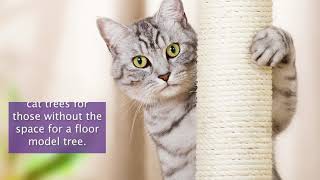 Wall Mounted Cat Trees