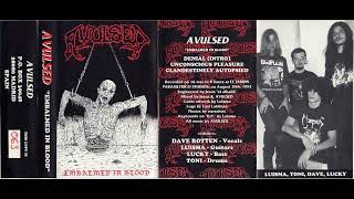 Download Lagu Avulsed – Embalmed In Blood MP3
