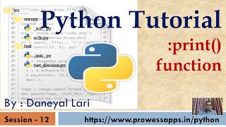 Celebrity #12 Python Tutorial for Beginners |  print() function in Python Profile
