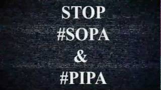 Stand Together: The Gaming Community vs. SOPA and PIPA