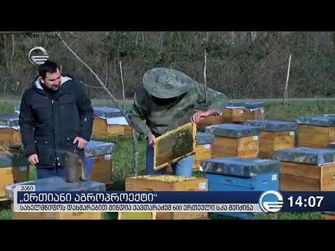 სახელმწიფოს დახმარებით, ვანის რაიონში ფერმერმა ფუტკრის სკები შეიძინა