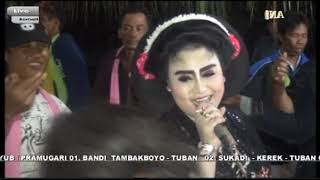 TAYUB TUBAN LAGU TERBARU MUNDUR ALON KANGEN BOJO