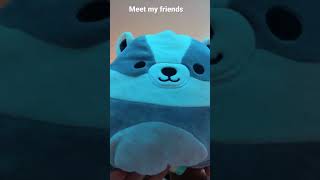 Meet my friends #short #squishmallow #collection #friends #funny #crazy #sound