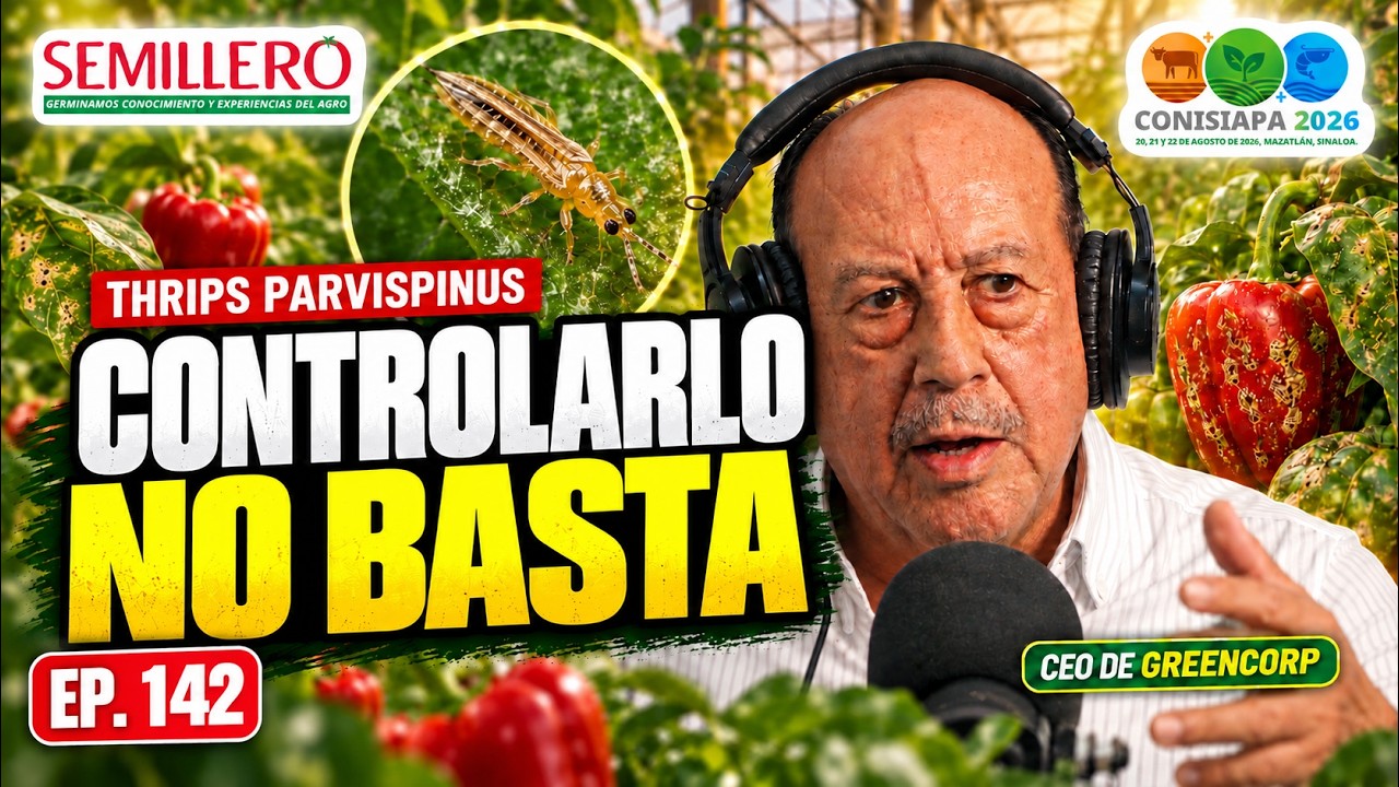 De México a España: la estrategia de GreenCorp contra Thrips parvispinus | EP. 142