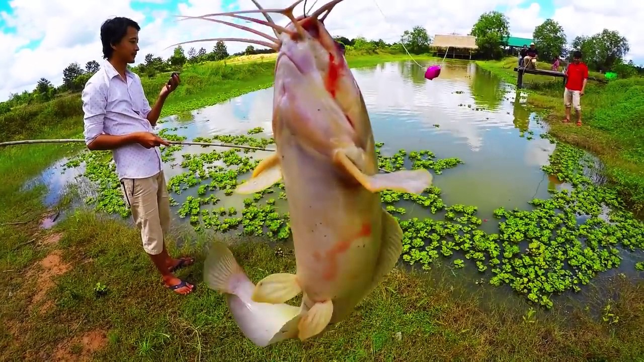 siem reap fishing trip