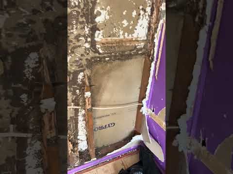 a1 pest control