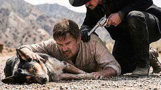 The Marshal’s Son Shot a Drifter’s Dog, Unaware He Was a Former Soldier